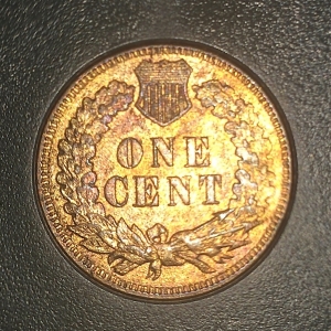 1891 Indian head one cent