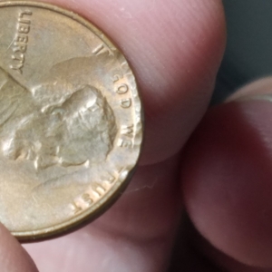 76 cent additionals