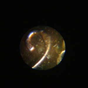 second 9