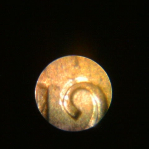 Date up close