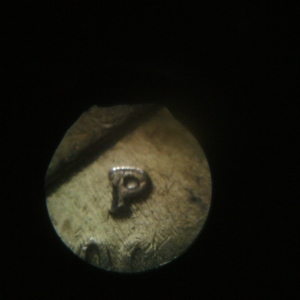 mintmark