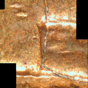 1983 Cent (3)