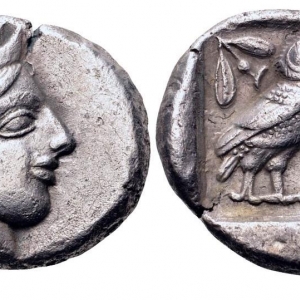 Owl5