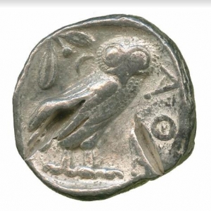 Owl7