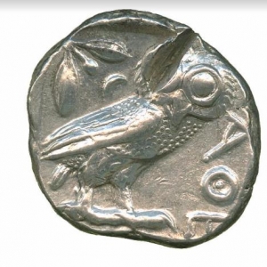 Owl8
