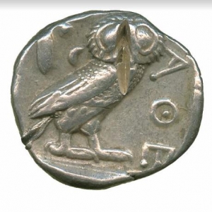 Owl9