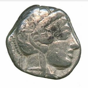 Owl10