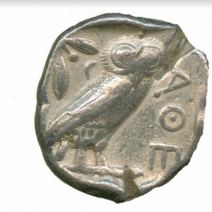 Owl11