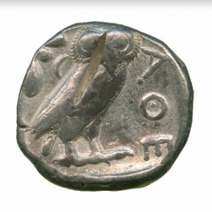 Owl12
