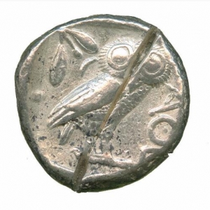 Owl13