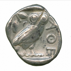 Owl14
