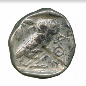 Owl15