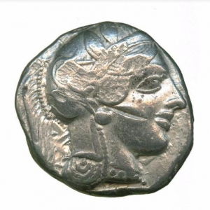Owl15