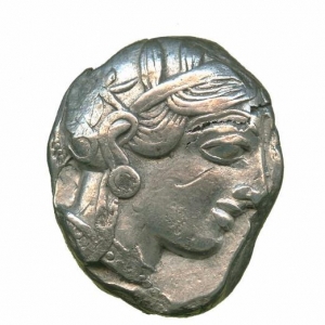 Owl16