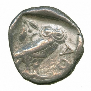 Owl17