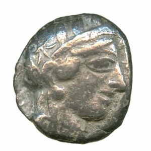 Owl17