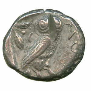 Owl18