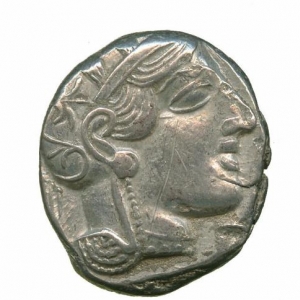 Owl18