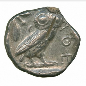 Owl19