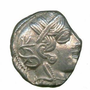 Owl19