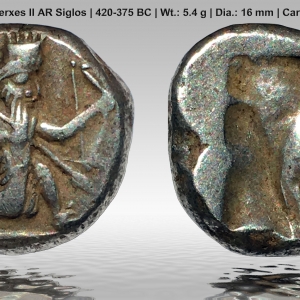 Achaemenid AR Siglos