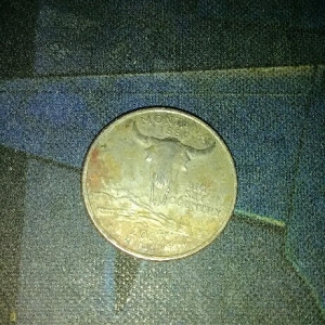 2007 MONTANA QUARTER