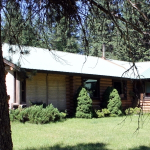 Left side