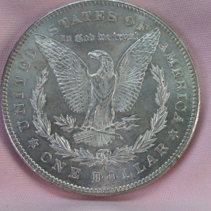 1878 S Morgan Dollar
