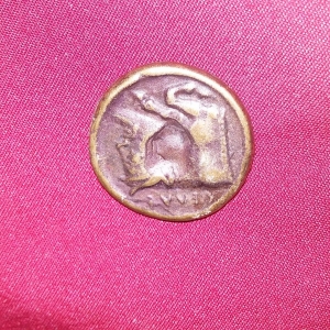 Copy found in woods