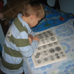 Young Numismatist