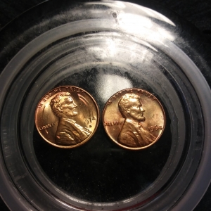 1964 d