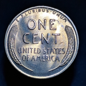 1955 S Wheat Heads