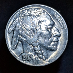 29. Buffalo Variety 2