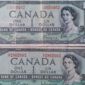 Canadian