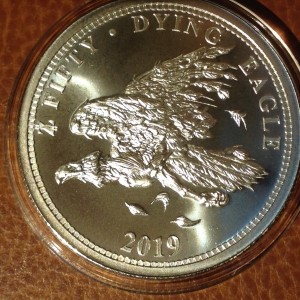 Dying Eagle
