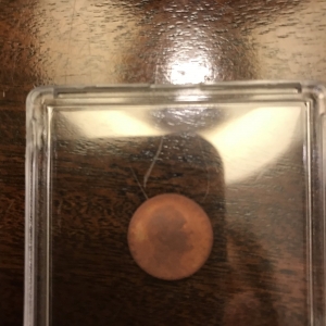 Unknown coin