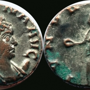 Salonina