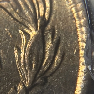my 1859 IHC 2