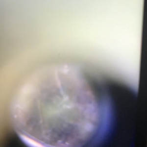 Same Lincoln Cent