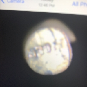 2000-D Lincoln Cent