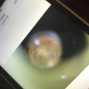 2000-D Lincoln Cent