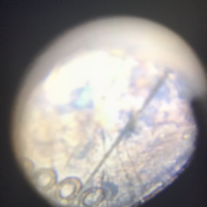 2000-D Lincoln Cent