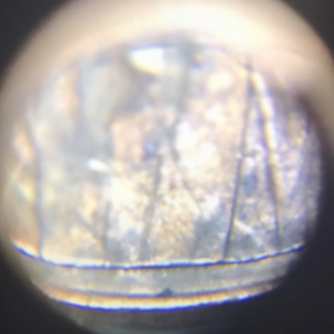 2000-D Lincoln Cent