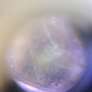 2000-D Lincoln Cent