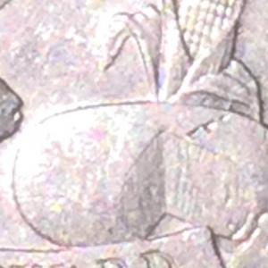 Mint or post mint error?