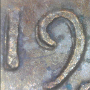 dd5