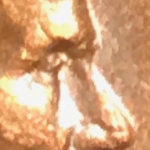 2a