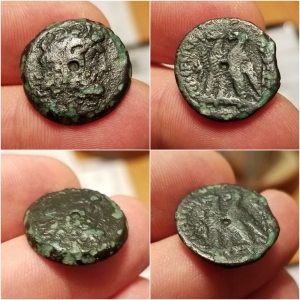 Ptolemy VI & VIII Zues Two Eagles