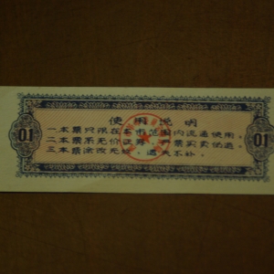 China Food Coupon Value 0.1 REV