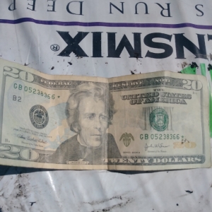 Star Notes